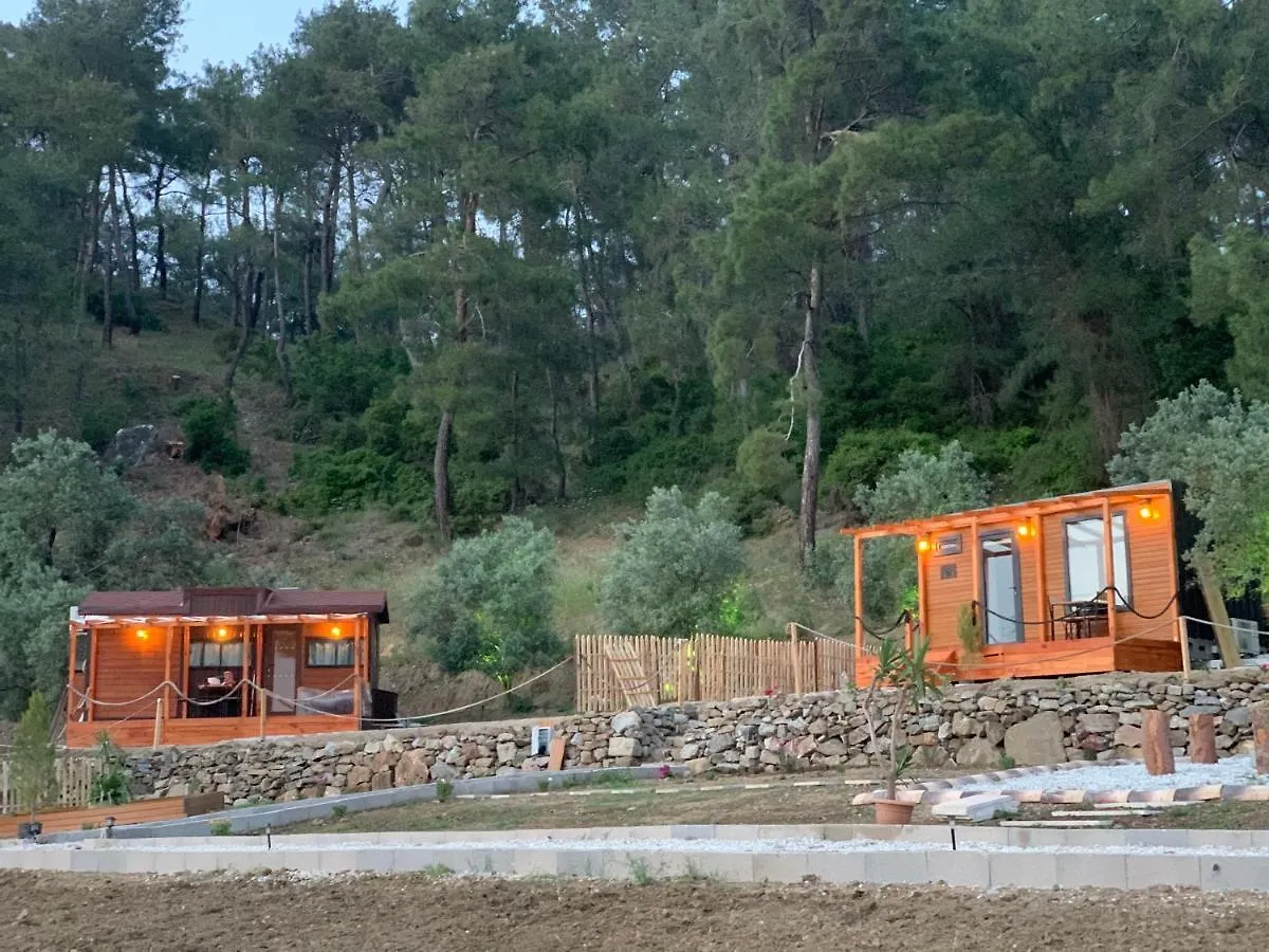 Tiny Mini House Hotel Dalaman Campsite