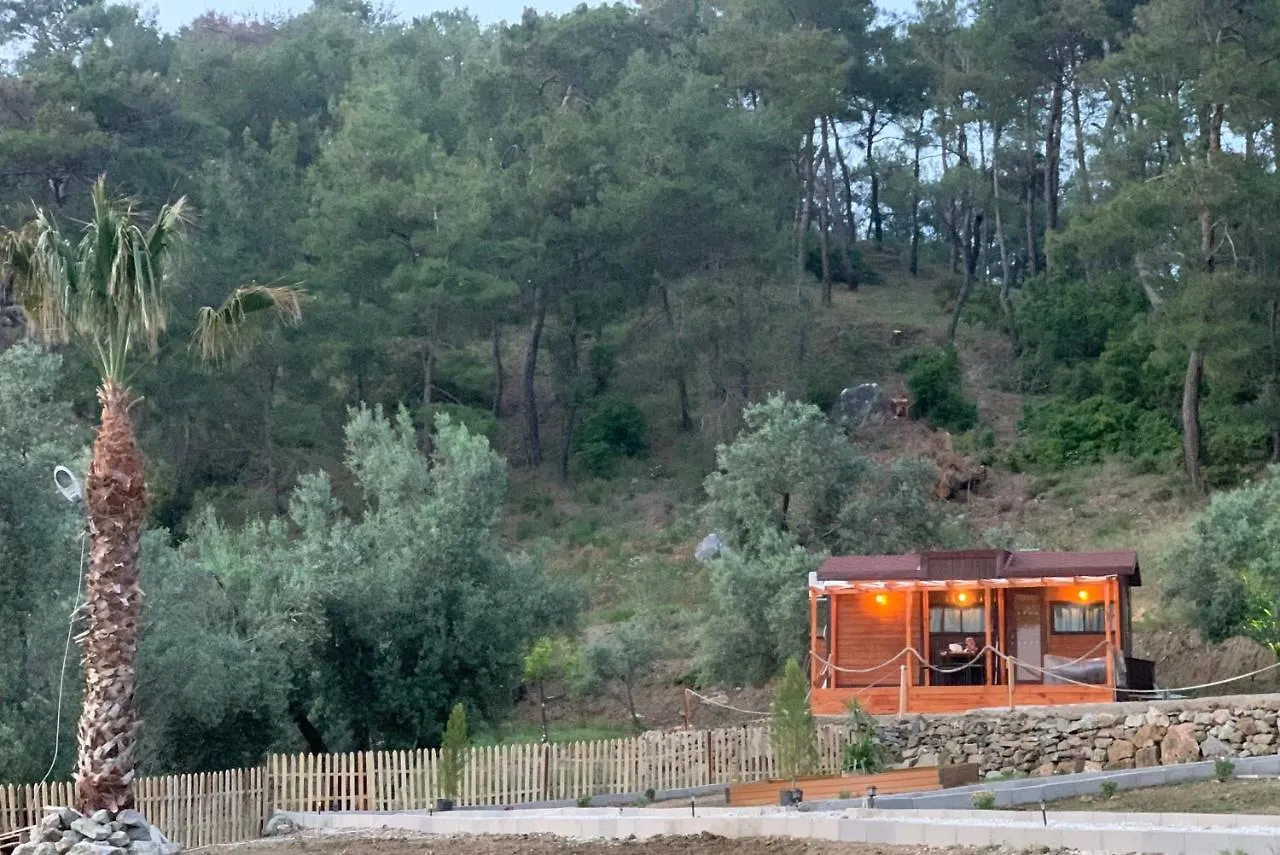 Tiny Mini House Hotel Dalaman 0*,
