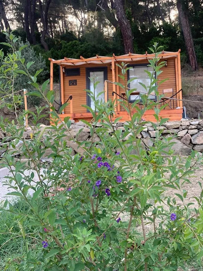 Campsite Tiny Mini House Hotel Dalaman Turkey