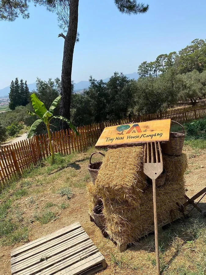 Tiny Mini House Hotel Dalaman Turkey