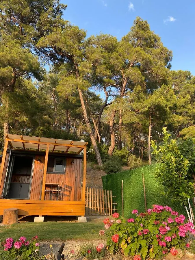 Tiny Mini House Hotel Dalaman Campsite